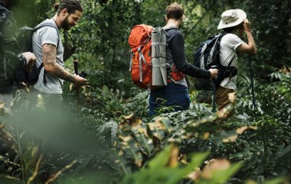 Curso Ecoturismo y Turismo de Naturaleza