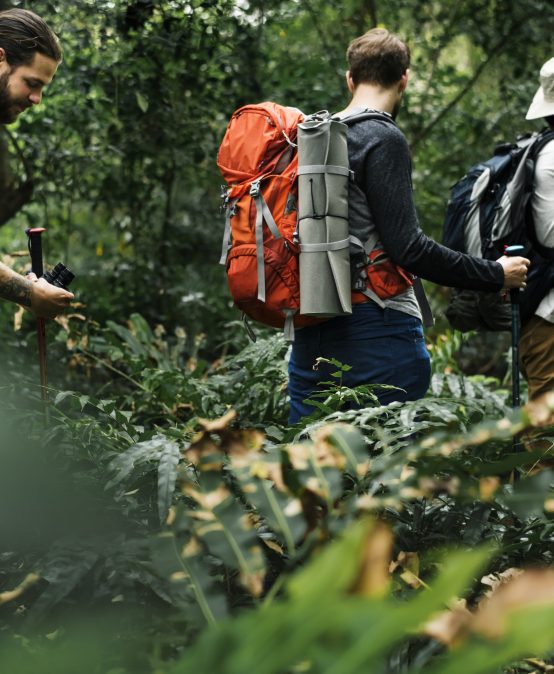 Curso Ecoturismo y Turismo de Naturaleza